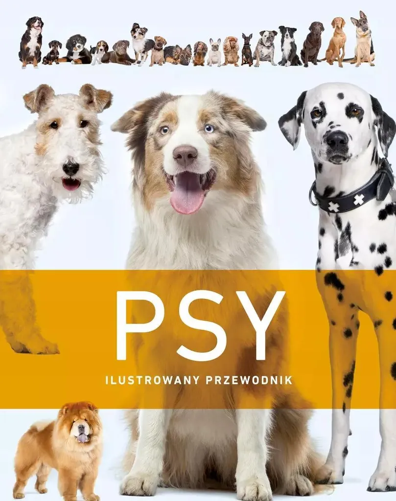 Livre Psy Ilustrowany przewodnik Opracowanie Zbiorowe Guide Polonais