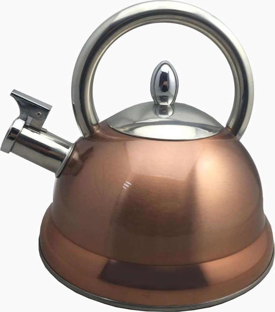 Bouilloire à sifflet 3l - Baumalu - 342782 - Image du produit 