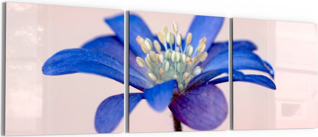 DEQORI Glasbild Echtglas 3x50x50 cm 'Blaue Eleganz' Wandbilder XXL groß