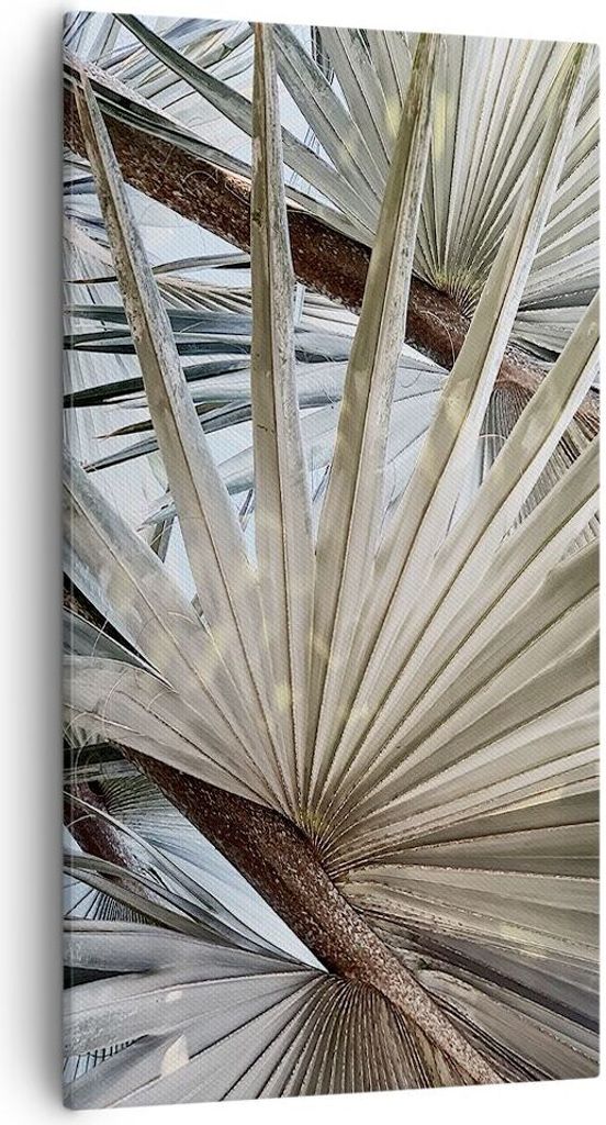 Bild auf Leinwand - Leinwandbild - Einteilig - Blatt Palme Natur - 55x100cm - Wand Bild - Wanddeko - Wandbilder - Leinwanddruck - Bilder - Wanddeko...