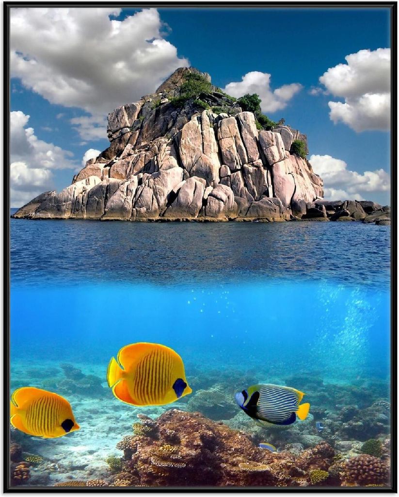 Wallario Wandbild Exotische Fische im Meer, Größe: 40,30 x 50,30 cm, Poster mit schwarzem Aluminiumrahmen