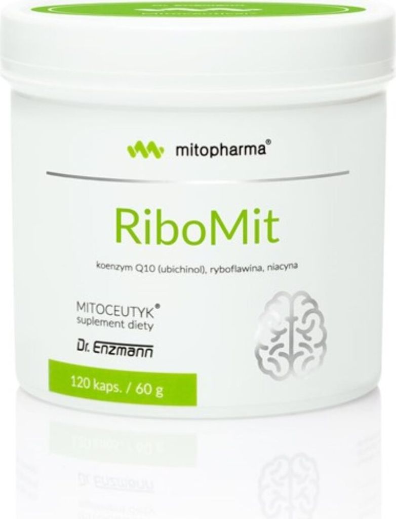 Dr. Enzmann MSE BI5385