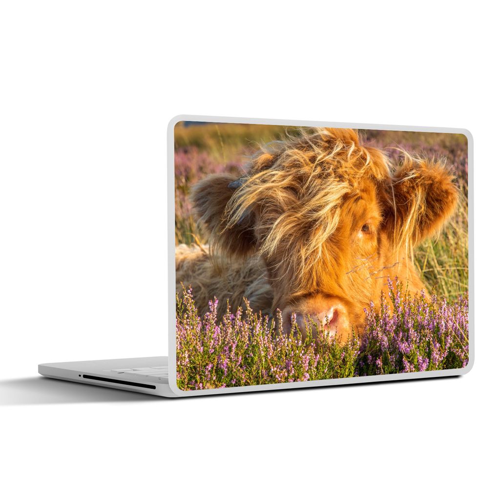 MuchoWow Laptop Aufkleber Sticker Cover Schottische Highlander - Heide - Gras - Tiere 30x22 cm - Laptop-Sticker