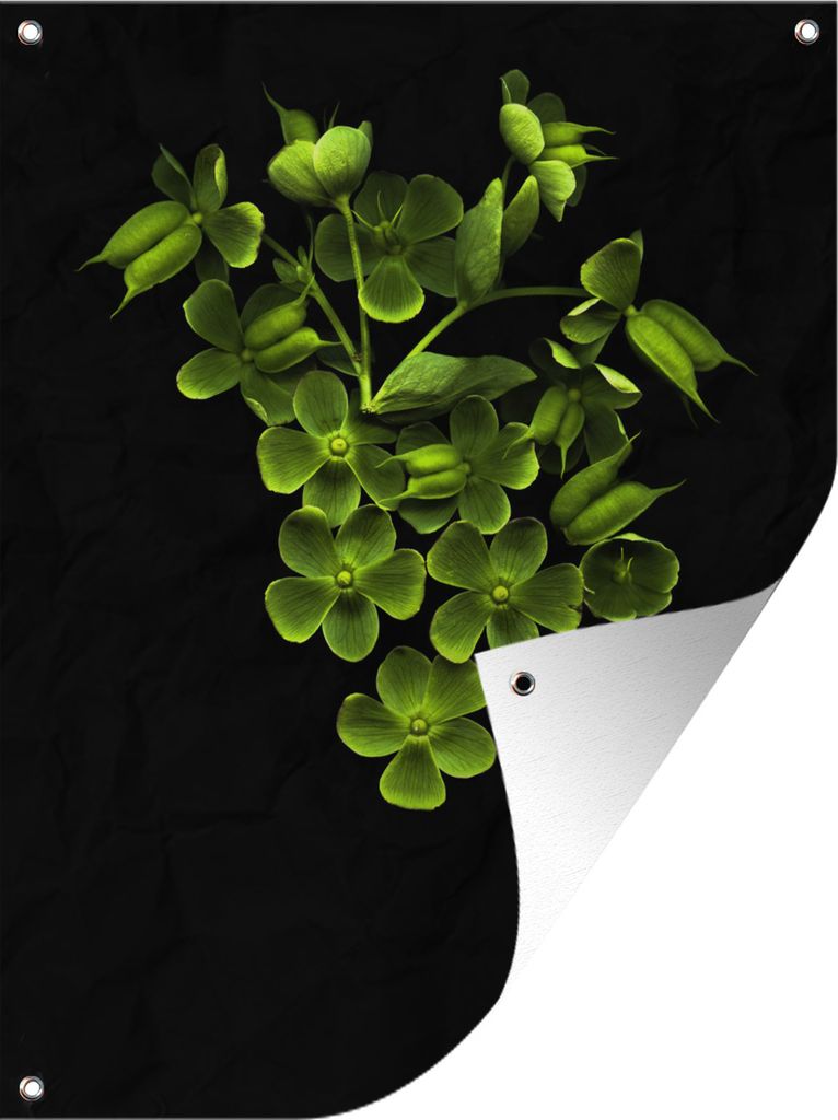 MuchoWow 30x40 cm Outdoor-Poster Gartendeko Sichtschutz Garten Poster für den Garten Das stinkende Nieskraut auf schwarzem Hintergrund