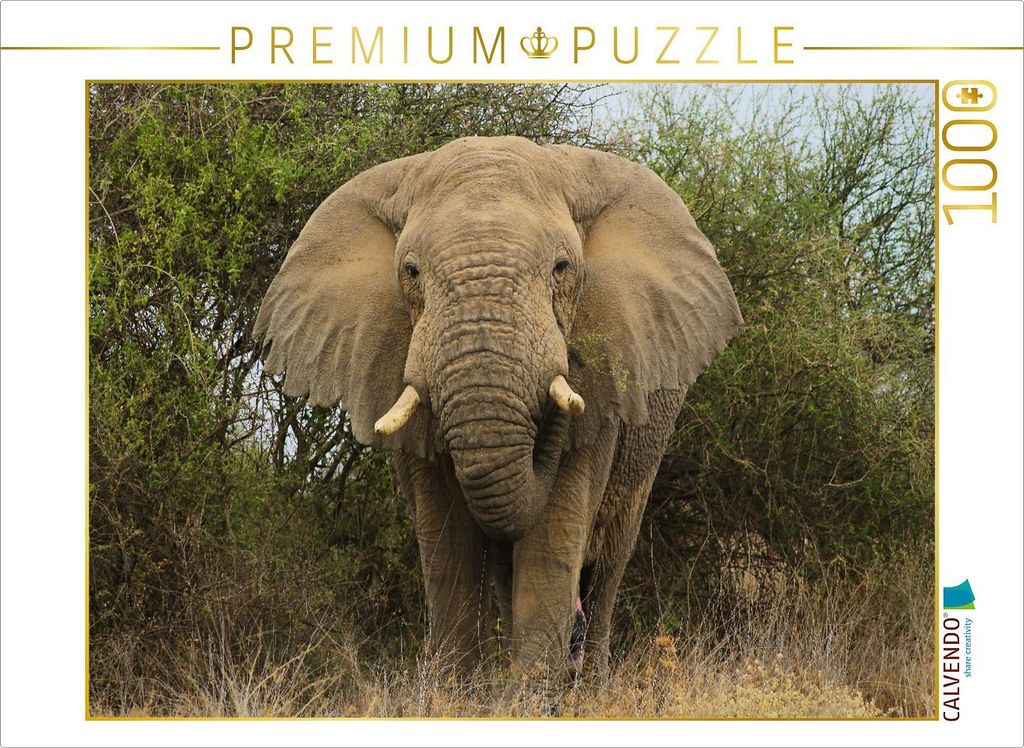 CALVENDO Puzzle Elefant 1000 Teile Puzzle quer | 1000 Teile Lege-Größe 64x48cm Foto-Puzzle für glückliche Stunden