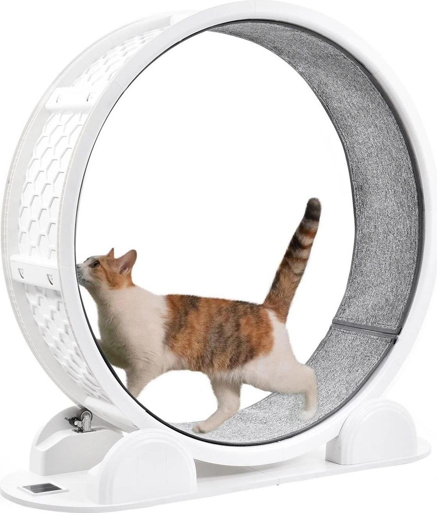 Katzentunnel - Katzenspielzeug - Kunststoff - Ohne Elektrik - Ohne Batterien - Für Katzen