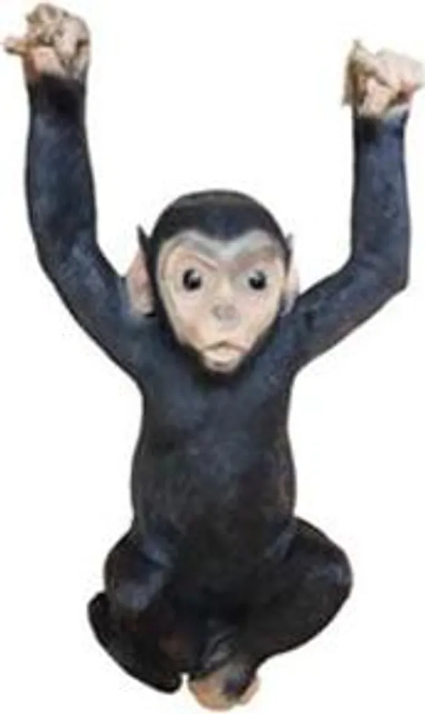 Statue Singe de Jardin 50cm - Figurine Zoo en Résine pour Extérieur