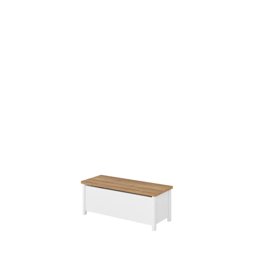 Coffre de Rangement Design Chêne Blanc et Nash MINIO STORY 10 Robuste