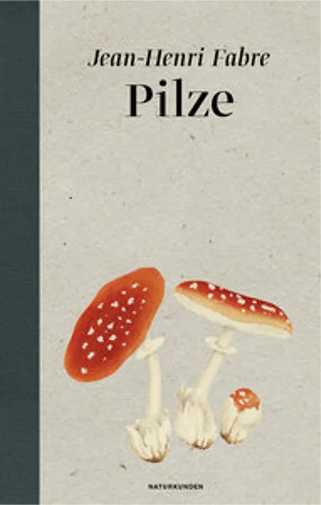 Mélange de Champignons Pilze Forestiers : Sachet de 250g de Qualité Supérieure