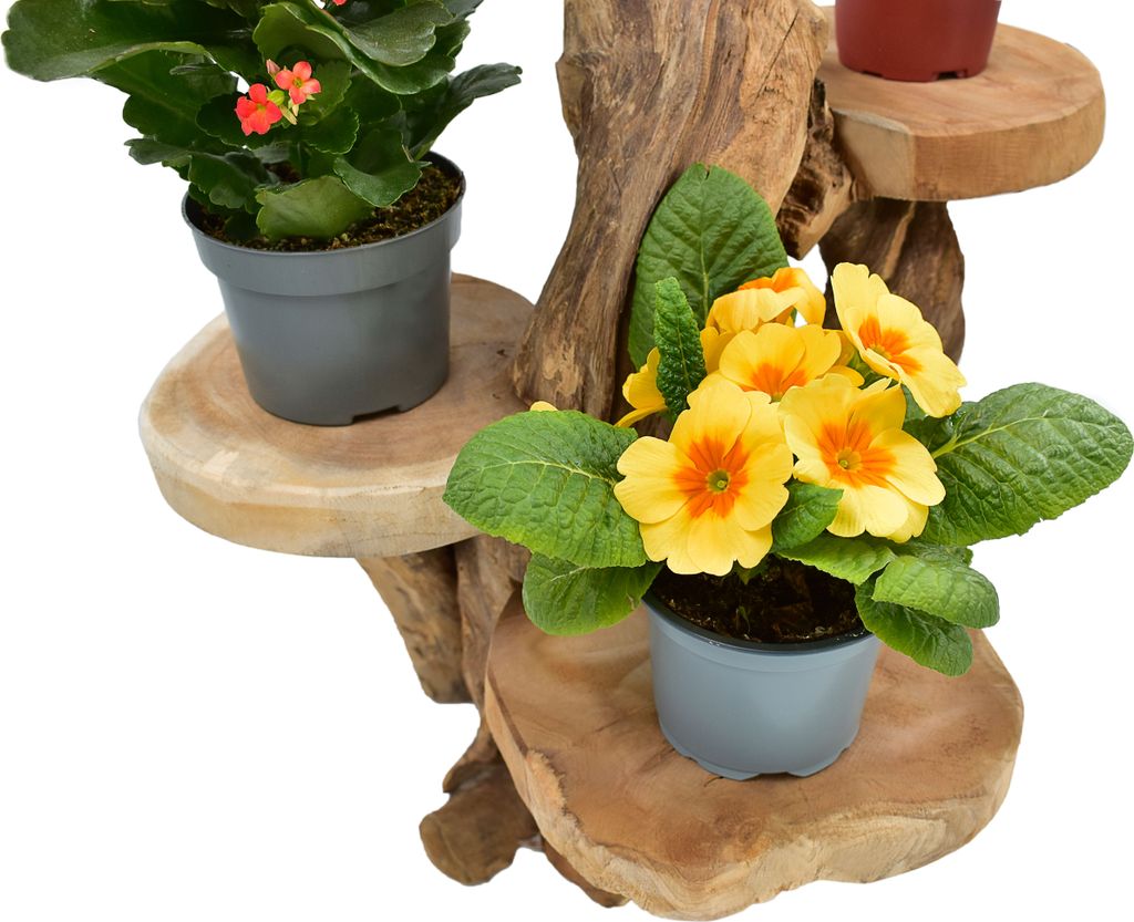 Teak Blumenständer Blumenpodest Pflanzentreppe Ständer Produktbild 4