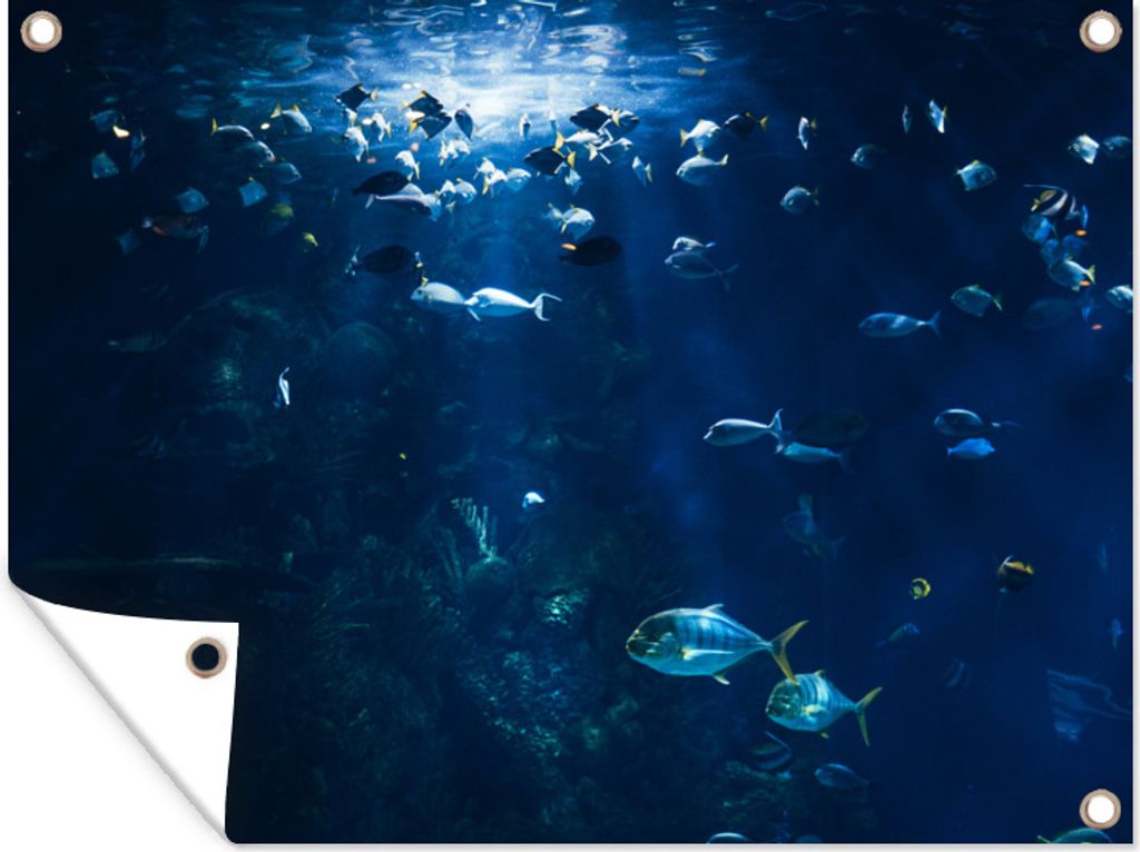 MuchoWow 80x60 cm Outdoor-Poster Gartendeko Sichtschutz Garten Poster für den Garten Angeln in einem Aquarium in Norwegen