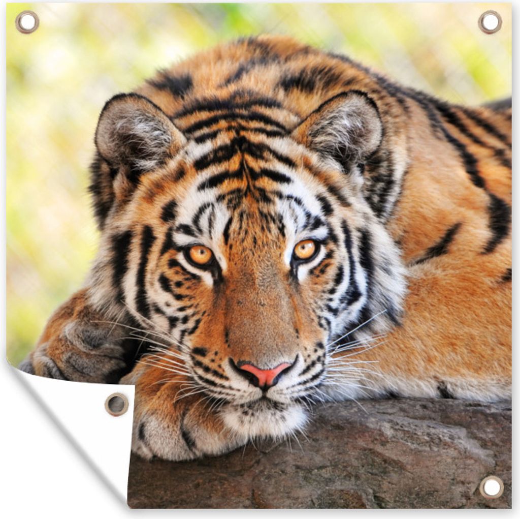 MuchoWow 100x100 cm Outdoor-Poster Gartendeko Sichtschutz Garten Poster für den Garten Tiger - Welpe - Rüssel
