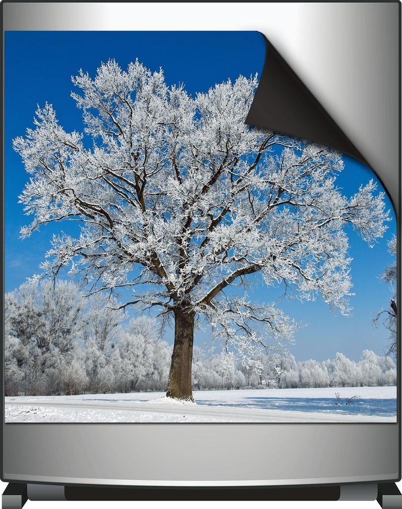 Wallario Magnet für Kühlschrank / Geschirrspüler, magnetisch haftende Folie - 60 x 60 cm, Motiv: Schneebedeckter Baum mit blauen Himmel