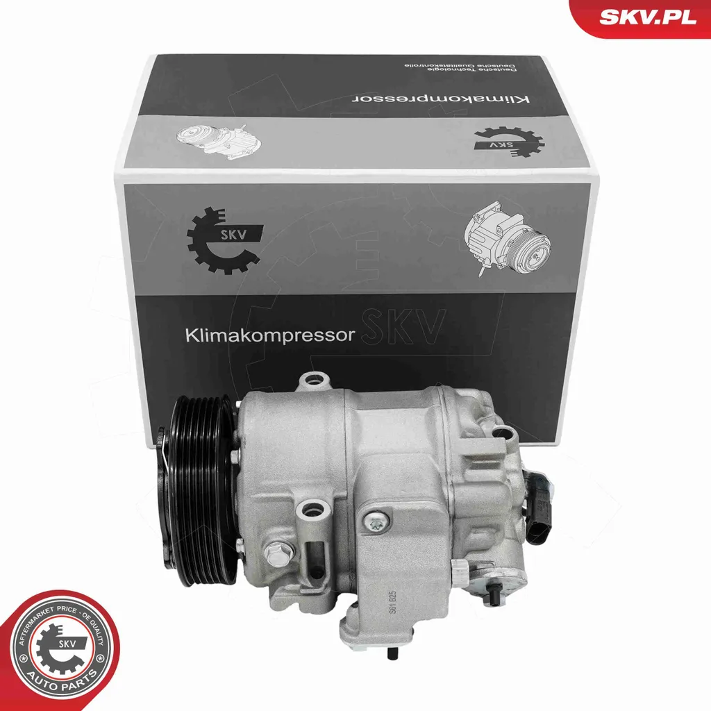 Compresseur 84SKV020 avec Huile PAG 46 pour VW Polo 9N et Lupo 1J1