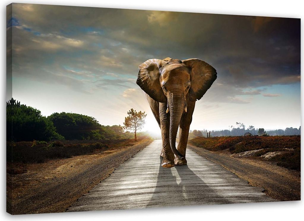 Leinwandbild wandernder elefant 60x40 cm Feeby braun wandbild bereit zum aufhängen