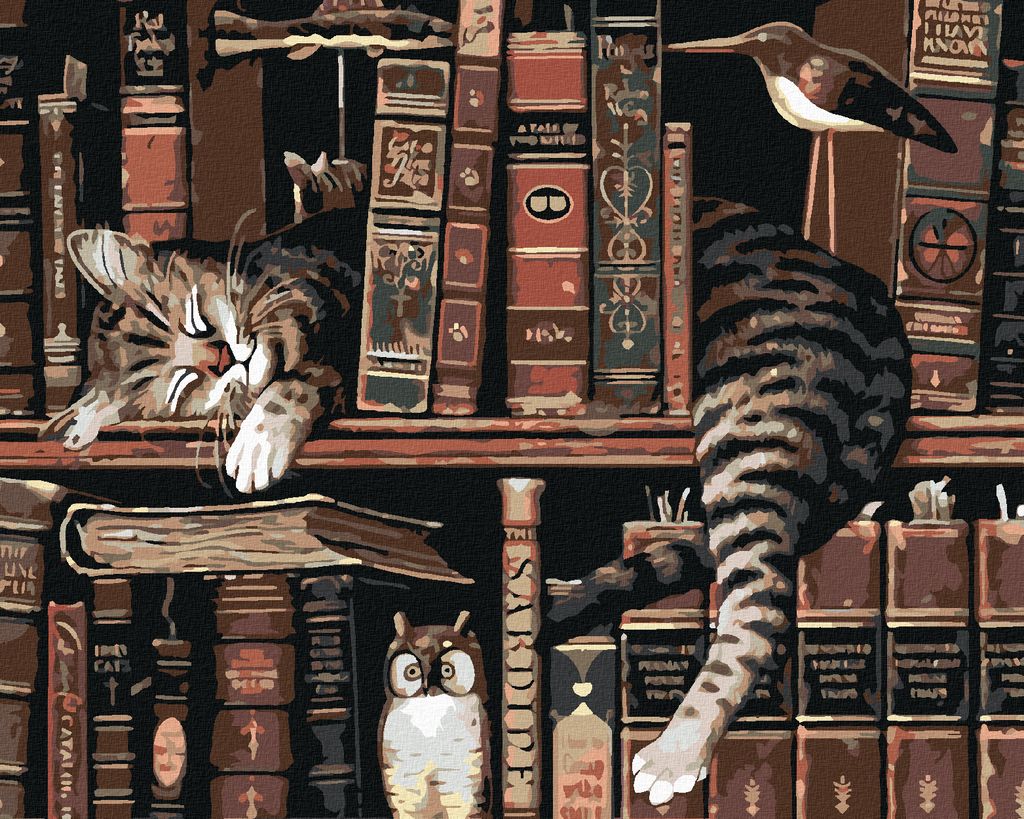 Zuty - Malen nach Zahlen - KATER IN DER BIBLIOTHEK, 40x50 cm, ohne Keilrahmen
