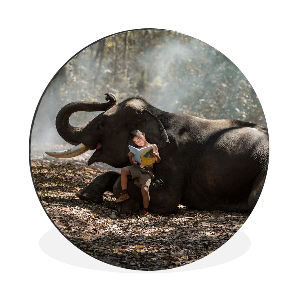MuchoWow Aluminium Wandkreis Elefant - Junge - Buch - Wald - Tiere - Natur Ø 30 cm Wanddeko Modern Wohnzimmer - Wand Bild - Wohnzimmer - Runde B...
