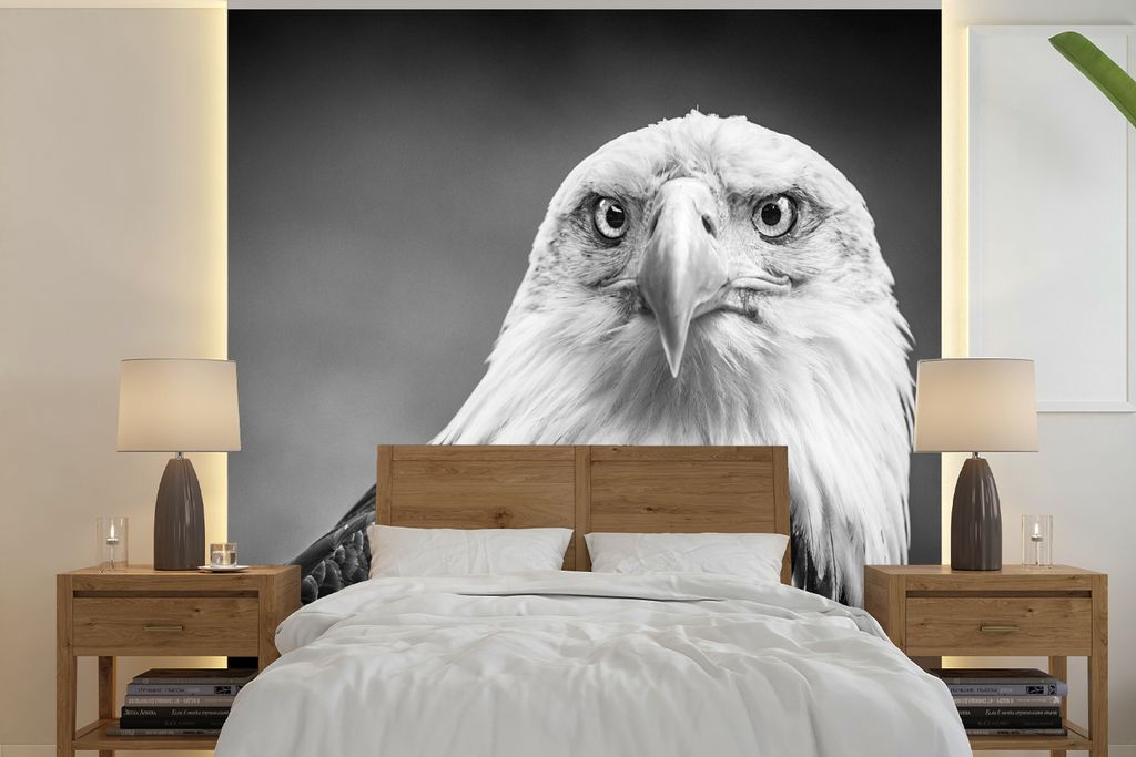 MuchoWow Fototapete für Wohnzimmer oder Schlafzimmer Wandtapete Vinyl Motivtapete Adler - Raubvogel - Schwarz - Weiß - Tiere - 280x280 cm - Hin...
