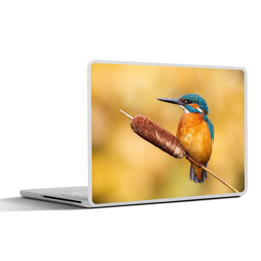 MuchoWow Laptop Aufkleber Sticker Cover Eisvogel - Natur - Vogel 40x30 cm - Laptop Dekoration - Selbstklebend