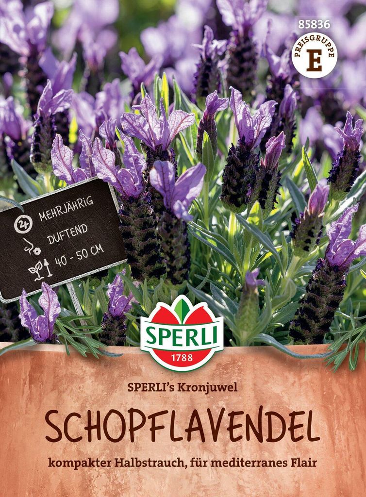 SPERLI Schopflavendelsamen Kronjuwel Lavandula stoechas 45 Produktbild 