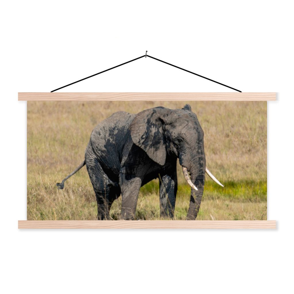 MuchoWow Textilposter Elefant - Gras - Tiere - Natur 120x60 cm mit holzfarbenen Rahmen - Klemmleiste