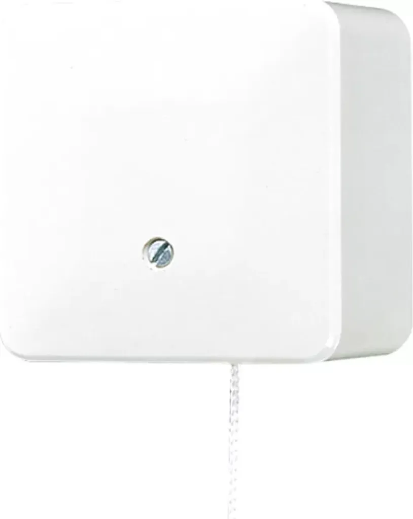 Jung 606ZAWW Interrupteur va-et-vient à tirette 10 AX 250V blanc alpin