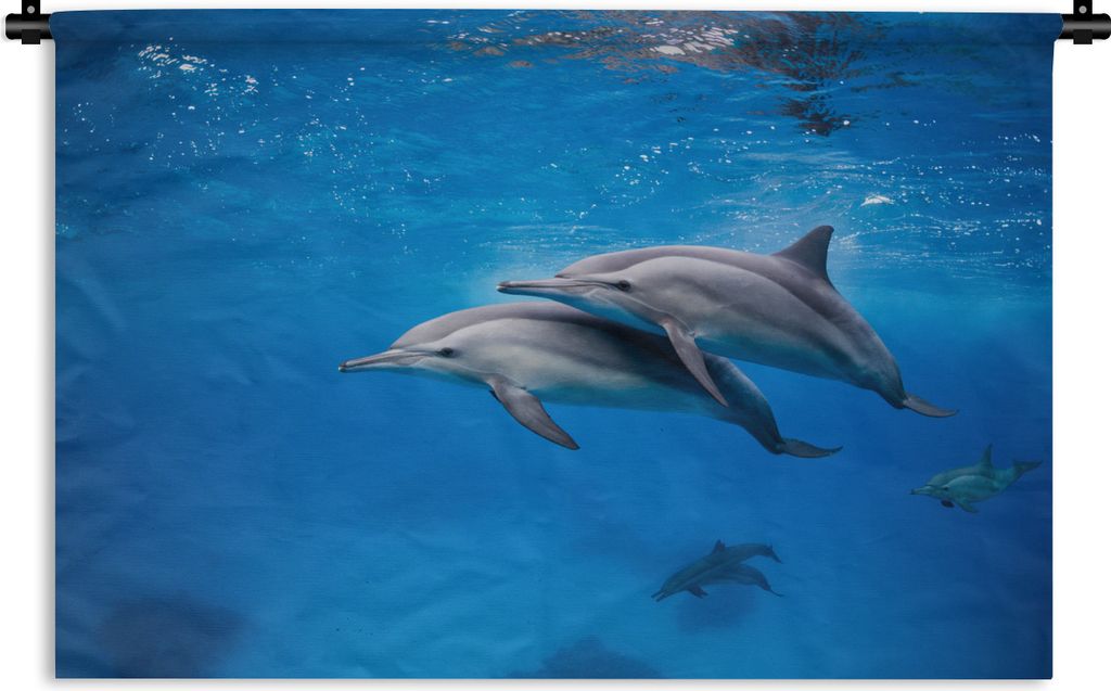 MuchoWow Wandteppich Wandbehang Delfin - Meer - Ägypten 120x80 cm Tapisserie Dekoration Wandtuch - Wanddekorationen - Wandtücher