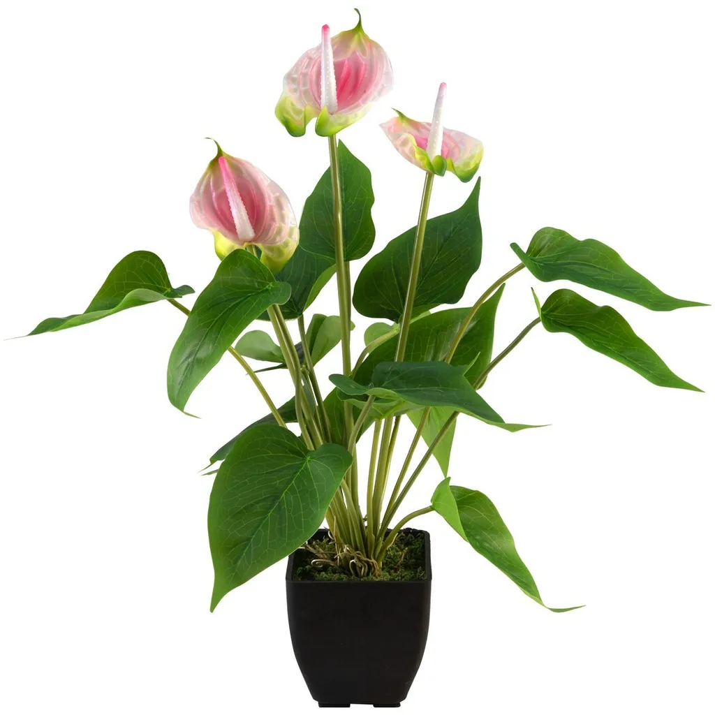 Europalms 82540348 Anthurium Bianco Rosa | Pianta Artificiale Alta Qualità
