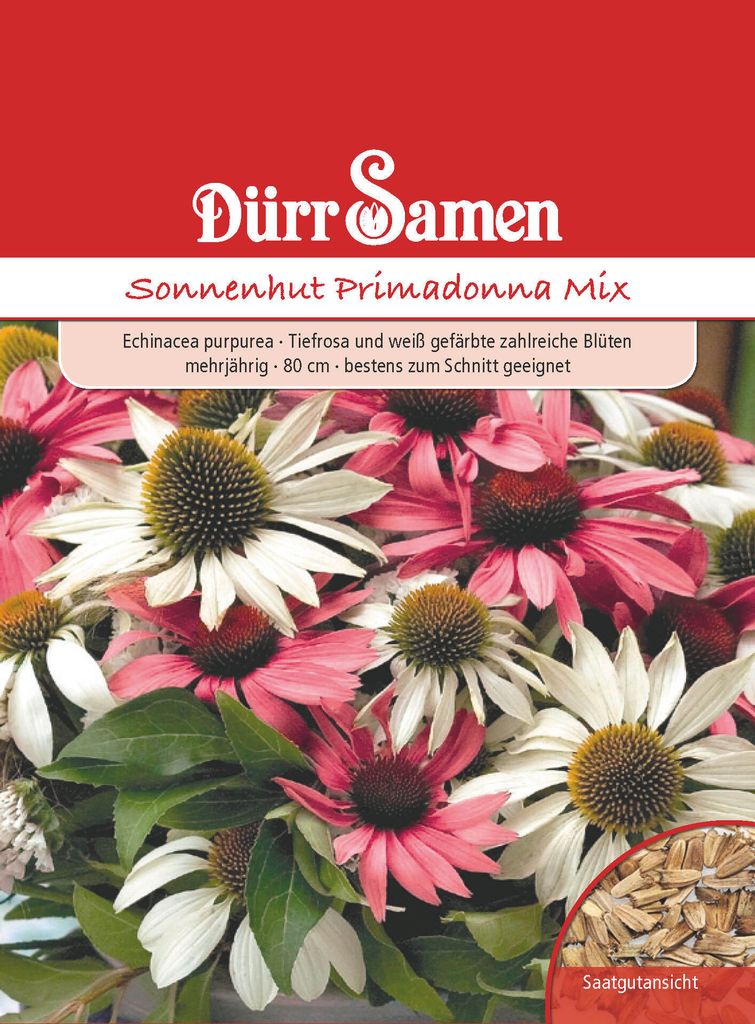 Sonnenhut Primadonna Mix | Sonnenhutsamen von Dürr Samen