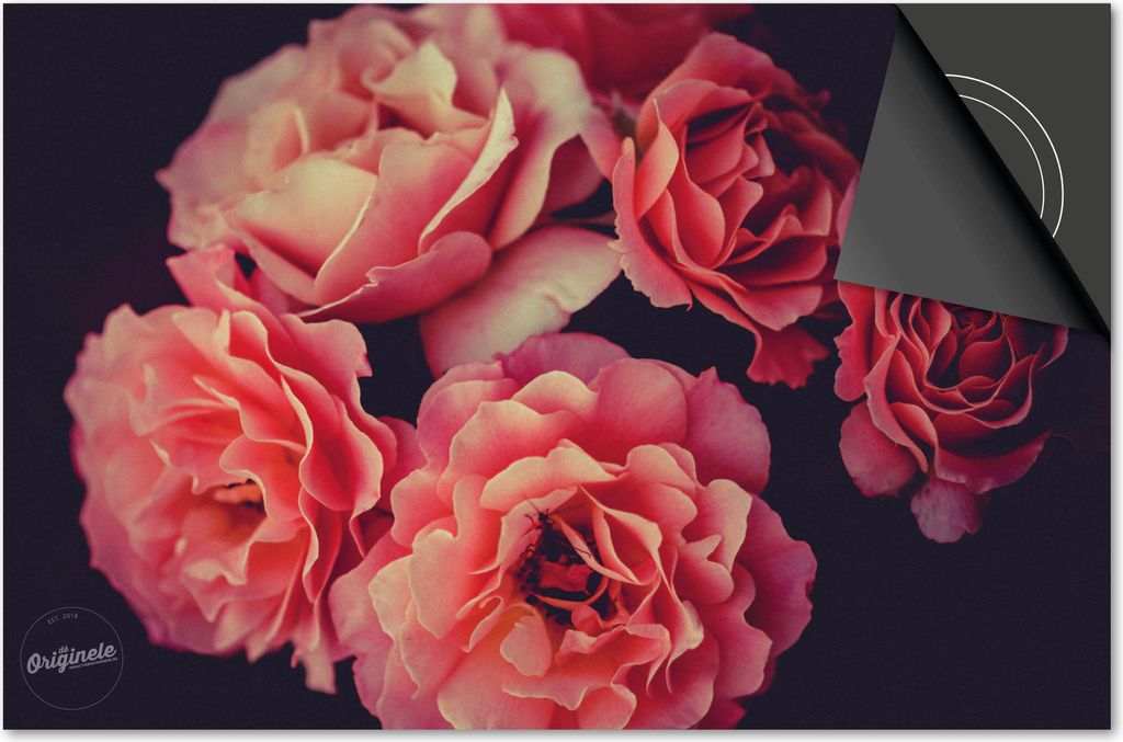 Induktionsschutz 60x52 - abdeckplatte Induktion matt- Dietrix Kochfeldschutz- Base - Blumen und Pflanzen - Pfingstrose
