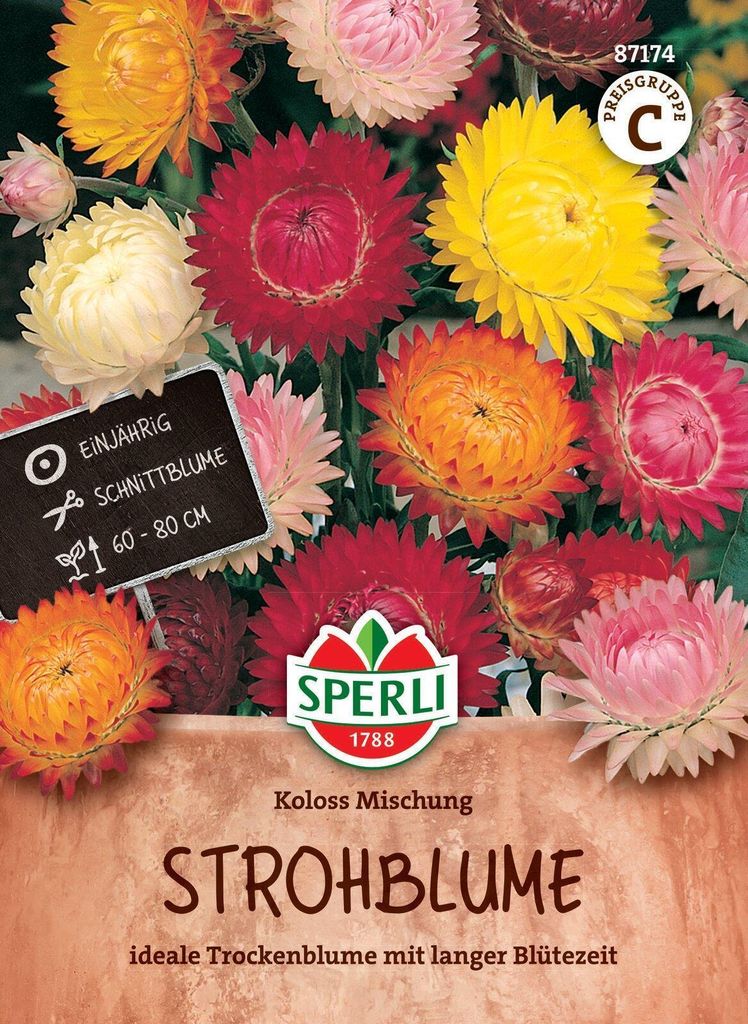 SPERLI Strohblumensamen Koloss 80 Pflanzen Produktbild 