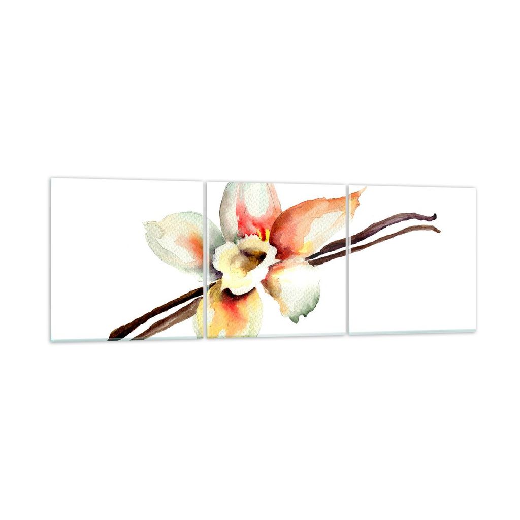 Bilder auf glas - Vanille Gewürz Blume Pflanze - 150x50cm - Glasbilder - Wandbilder - Kunstdruck - zum Aufhängen bereit - Wanddekoration aus Glas...