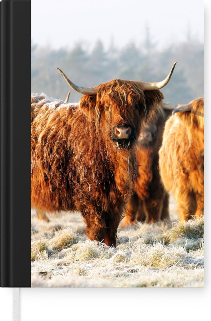 MuchoWow Notizbuch Tagebuch Haushaltsbuch Notebook A5 Schottische Highlander - Schnee - Wald - Notizblock - Notizheft - Notebook - Schreibblock -...