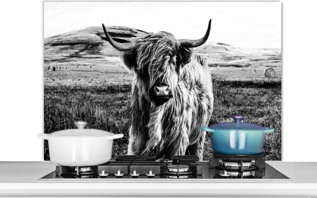 KitchenYeah Spritzschutz Küche - Küchenrückwand - Wandschutz für Herd und Spüle - Schwarz - Weiß - Schottisches Hochlandrind - Gras 100x65...