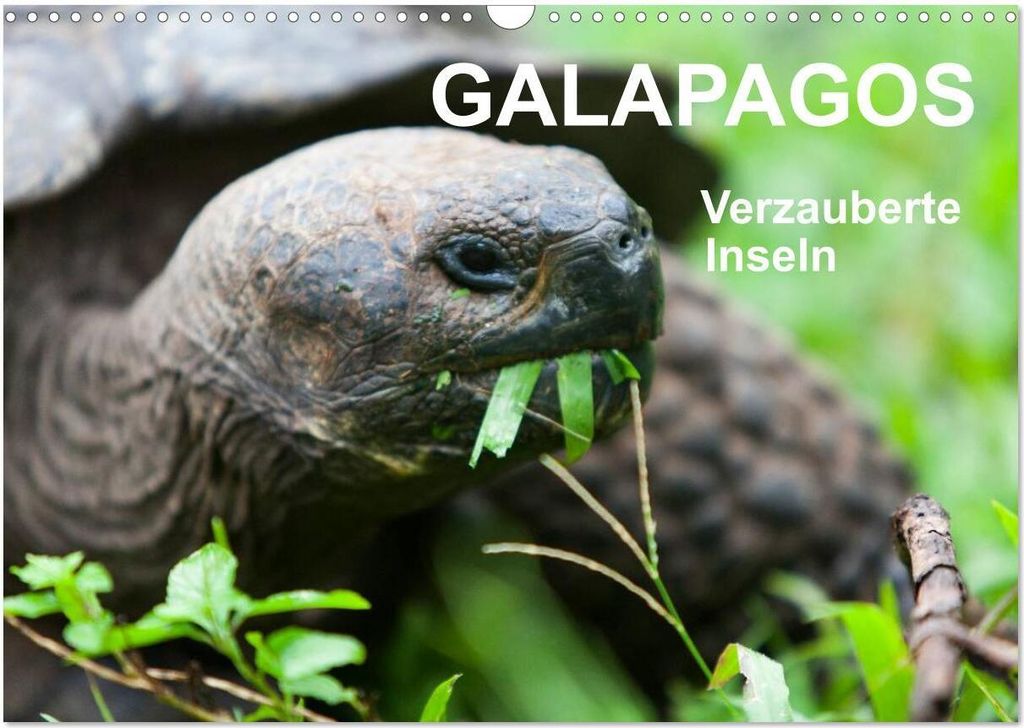 Galapagos. Verzauberte Inseln (Wandkalender 2026 DIN A3 quer), CALVENDO Monatskalender