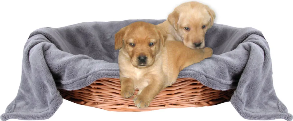 Coperta per Cani 90x140 cm Antracite | Alta Qualità per Divano e Auto
