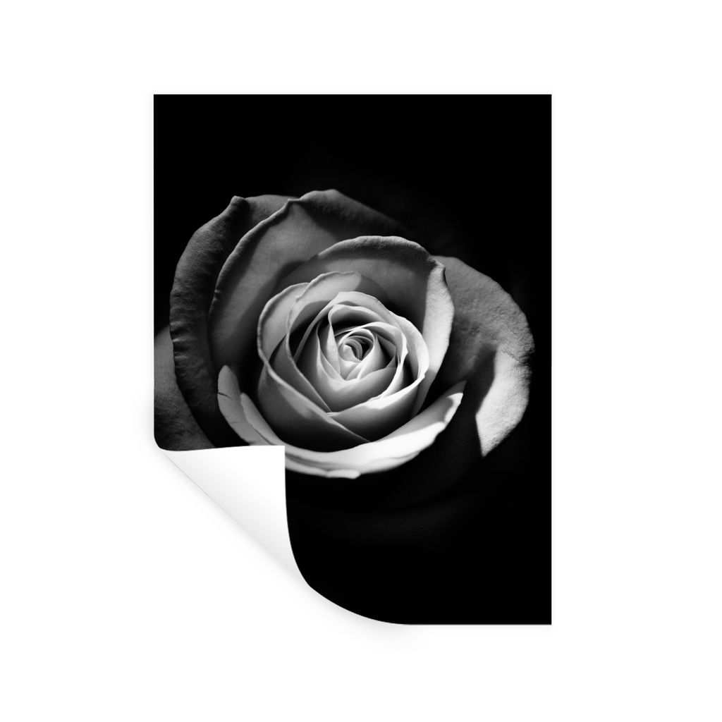 MuchoWow Wandtattoo Wandsticker Wandaufkleber Blumen - Schwarz - Rose - Weiß - Botanisch 90x120 cm Selbstklebend und Repositionierbar - Faltenfrei