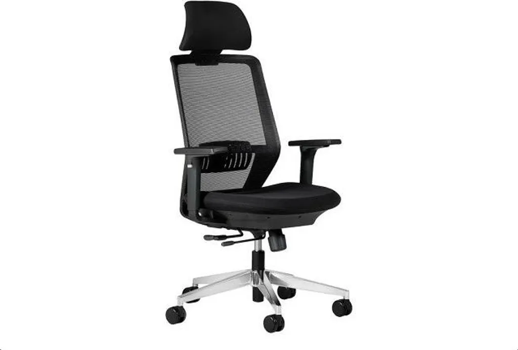 Chaise de bureau ergonomique SPECTRUM Noire - Finies les douleurs dos
