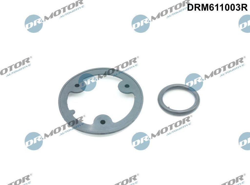 DR.MOTOR AUTOMOTIVE Dichtungssatz Ölkühler Dichtung Ölkühler DRM611003R für FIAT Ducato Kastenwagen (250, 290)