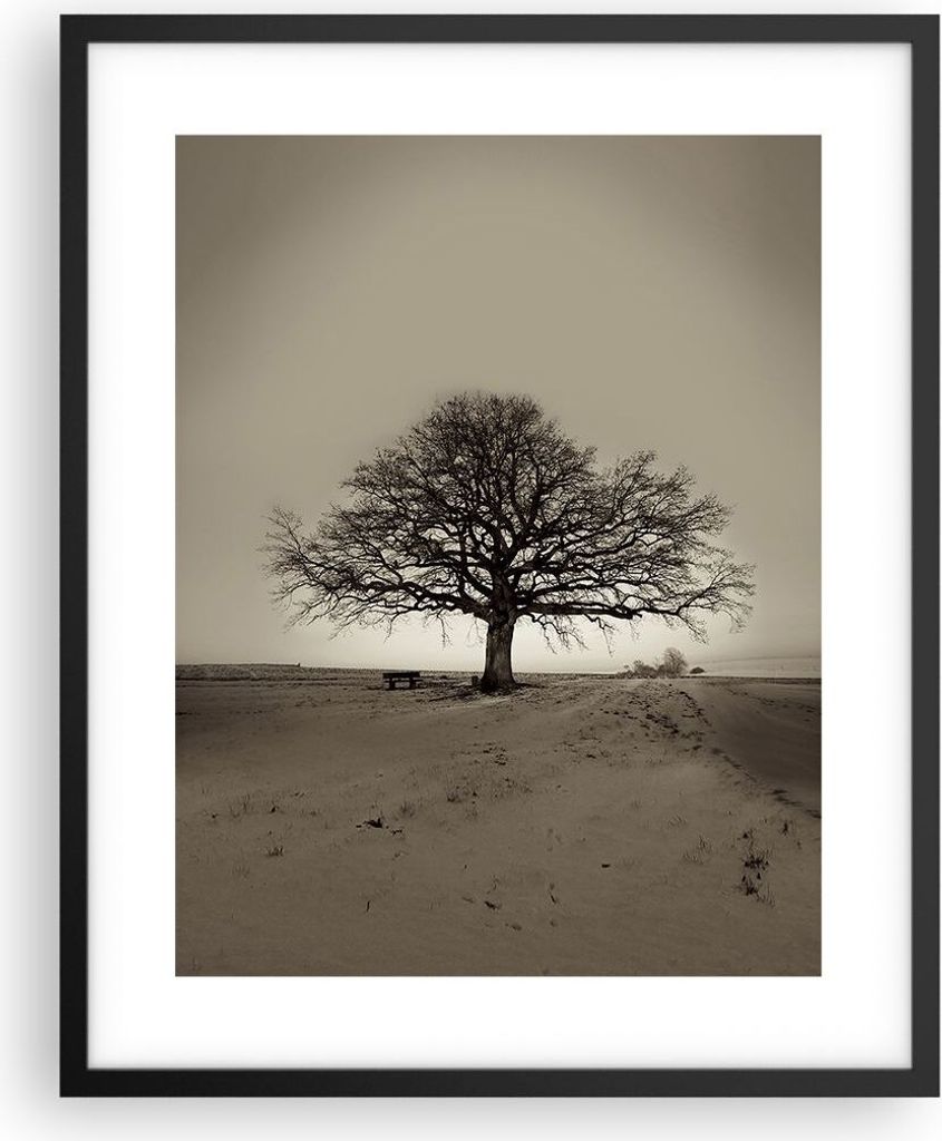 Gerahmtes Poster - Schwarzer Rahmen - Baum Schnee Sepia - 40x50 cm - Wand Bild - Wanddeko - Wandbilder - Kunstposter - Wandposter - Bilderrahmen - ...