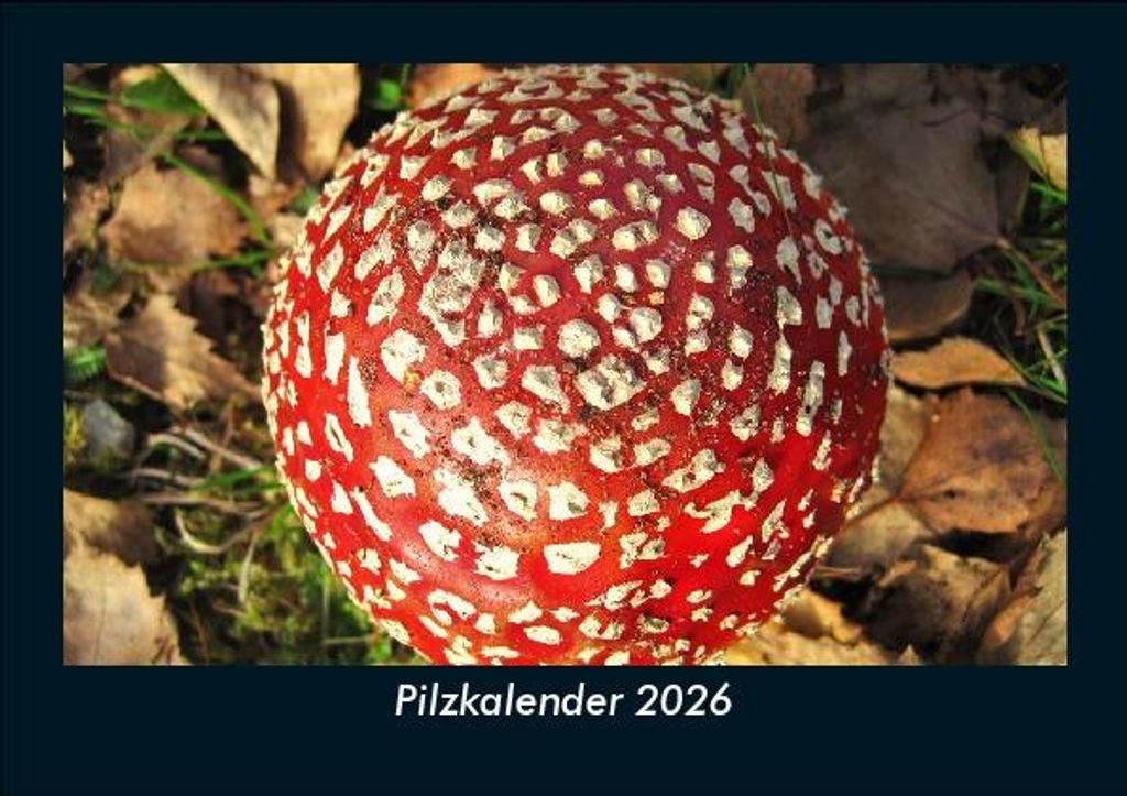 Pilzkalender 2026 Fotokalender - Querformat DIN A5, Monatskalender mit Bild-Motiven aus Fauna und Flora, Natur, Blumen und Pflanzen