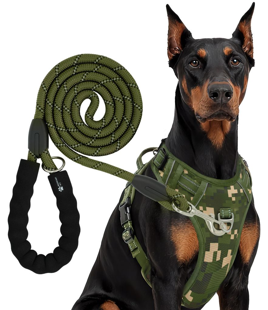 Reichstadt  RS Pets Hundegeschirr & Leinen Set 25RSP083-4 Produktbild 