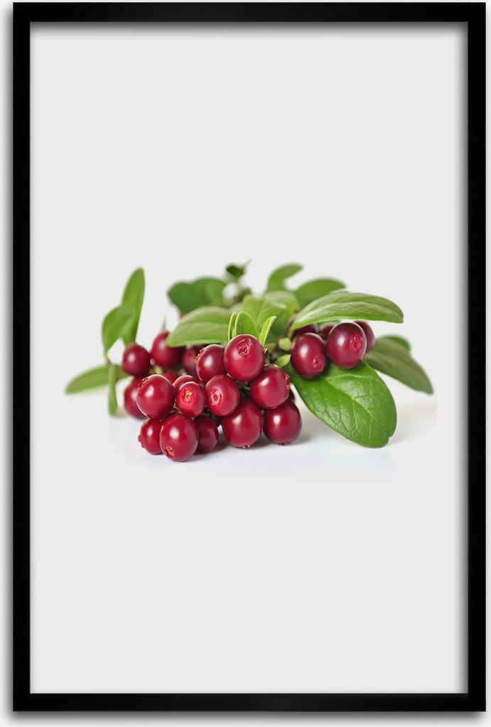 Bild - Bilderrahmen - 40 cm x 60 cm - MDF - Rahmen - Wandkunst - Heidelbeere