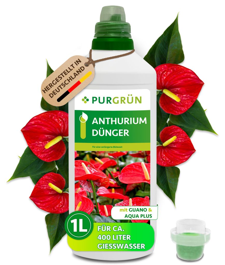Purgrün Anthurium-Dünger | Flüssigdünger für Blüten & Produktbild 