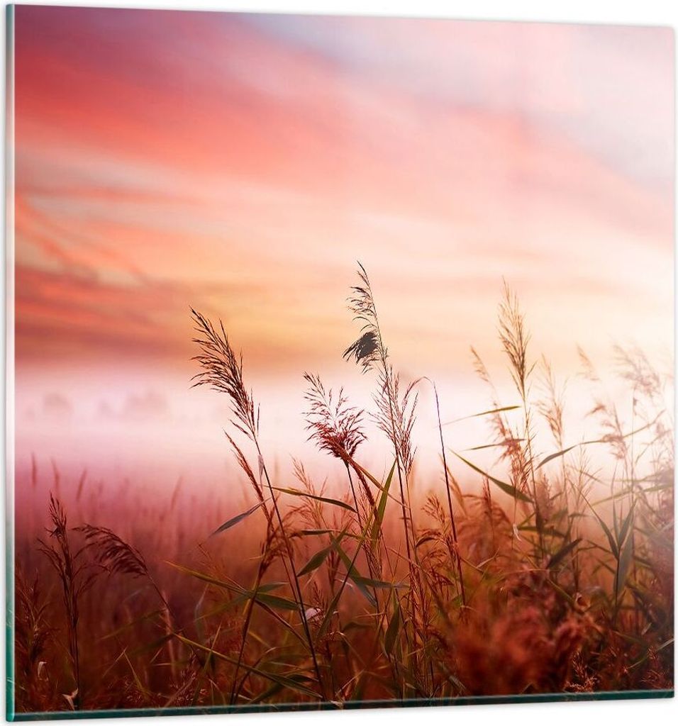 Bilder auf glas - Wiese Getreide Natur - 40x40cm - Glasbilder - Wandbilder - Kunstdruck - zum Aufhängen bereit - Wanddekoration aus Glas - Glas Bi...