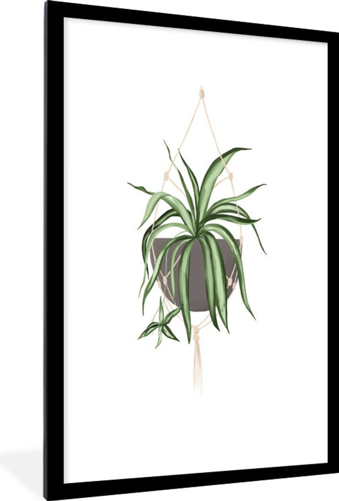 MuchoWow MuchoWow Gerahmtes Poster Pflanzen - Hängepflanze - Weiß 60x90 cm - Poster mit zchwarzem Bilderrahmen - Dekoration - Wandposter Wohn...