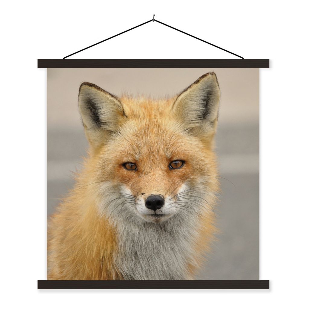 MuchoWow Textilposter Fuchs - Makro - Rot 90x90 cm mit schwarzem Rahmen - Magnetisches