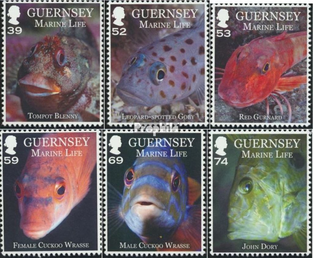 Briefmarken GB - Guernsey 2013 Mi 1409-1414 (kompl.Ausg.) postfrisch Meeresfauna