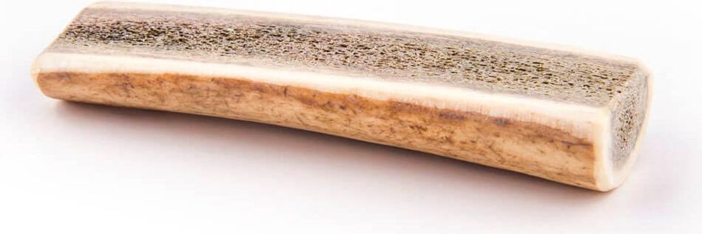 A single dog chew toy made from antler, presented on a white background.