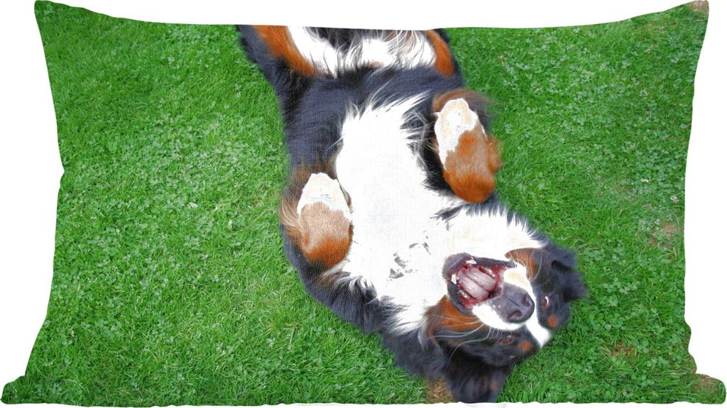 MuchoWow Zierkissen Sofakissen Wohnzimmer Dekokissen 50x30 cm Berner Sennenhund im Gras liegend - Wohnzimmerdekoration - Polster mit Photo